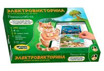 Игра Электровикторина 