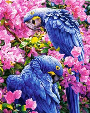 Картина по номерам на холсте 50*40 Синие попугаи КН5040017