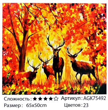 Мозаика алмазная 50*65см. AGK75492 (20)