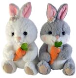 МИ Заяц с морковкой 2цвета 22см. 25-1-537 ( …