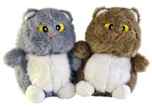 МИ Кот бол глаза 2цвета 21см. 25-1-532 (80)